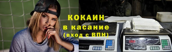 твердый Богородск