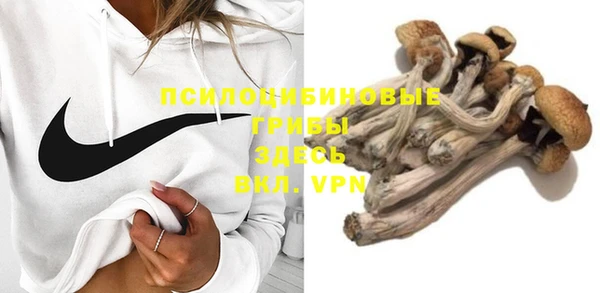 прущая мука Богданович