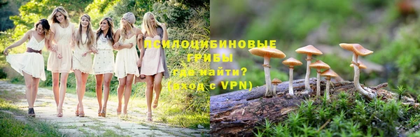 ALPHA-PVP Богородицк