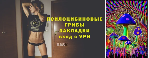 твердый Богородск